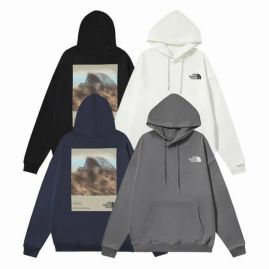 Picture of The North Face Hoodies _SKUTheNorthFaceM-XXL66838411829